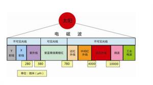 盘点蜜桃AV噜噜一区二区三区小说里的光谱知识
