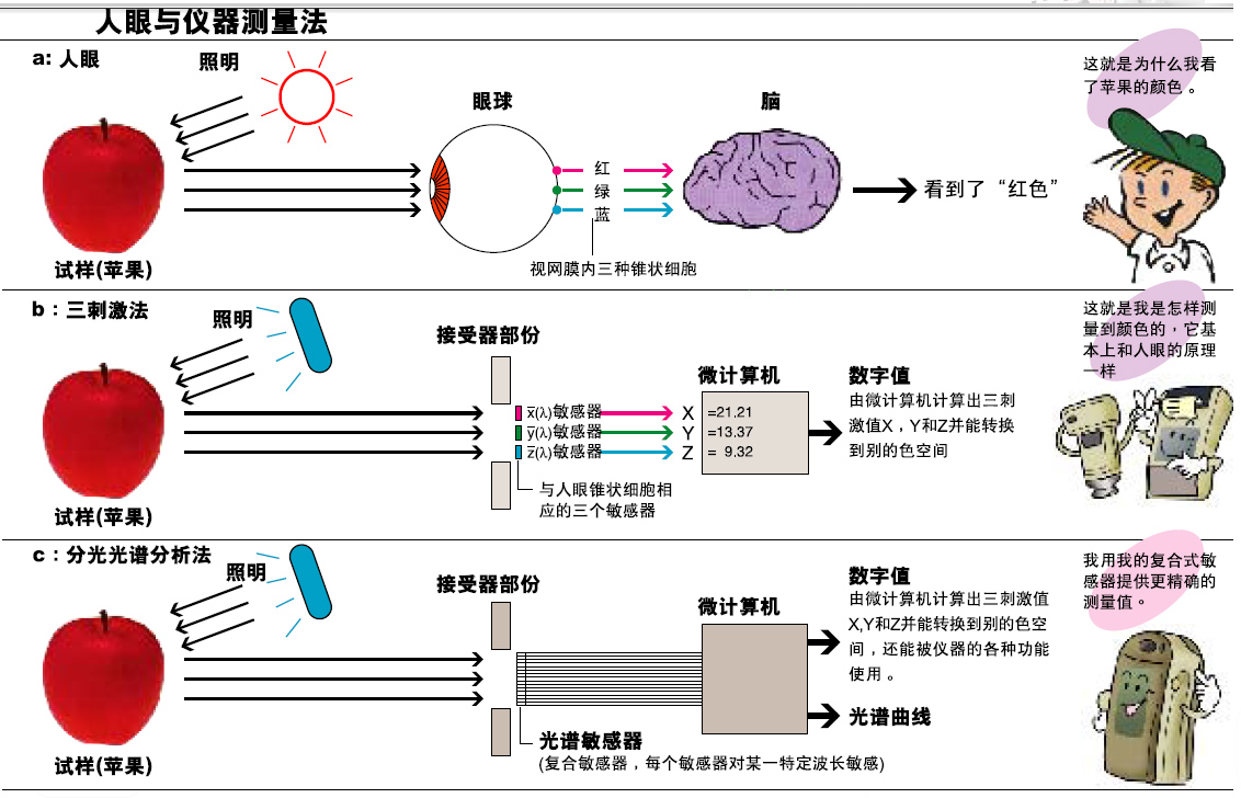 蜜桃AV噜噜一区二区三区小说的分光型与三刺激值型哪个更好？