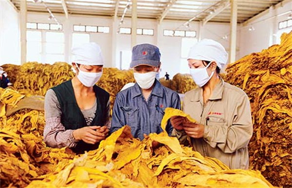烟叶分级灯箱的色温和显色指数是多少？