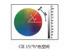 蜜桃AV噜噜一区二区三区小说l值c值h值是什么意思？